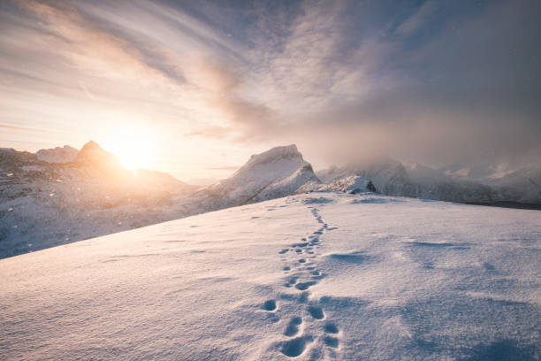 снежный горный хребет со следами в метель - frozen ice sky sun стоковые фото и изображения