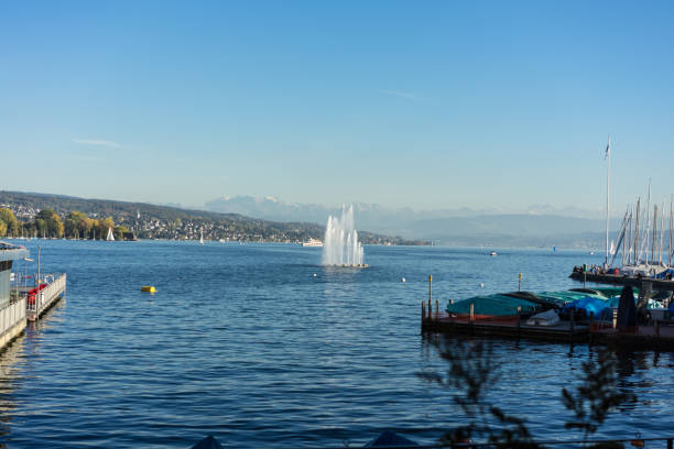 istock fountain on lake zurich with mountain view in summer 1010515132