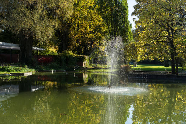 istock pond with fountain in park 1010517620