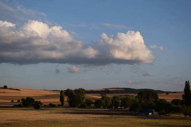 istock evening light over farmland in summer, Eifel region 1010518040