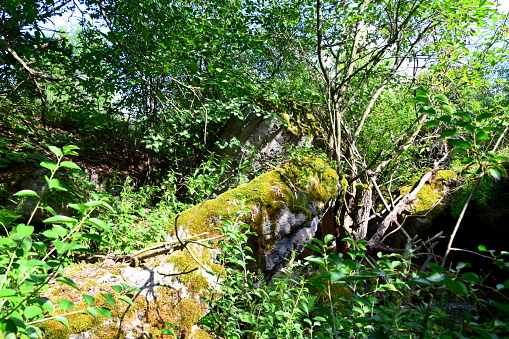 Remnants of an old bunker or bomb shelter that was blown up situated in a deep forest seen during a hot summer day in Poland, with tree branches and leaves surrounding the concrete construction