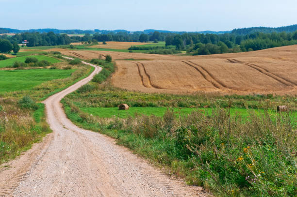 istock plowed agricultural land, sown fields, field road 1010521282