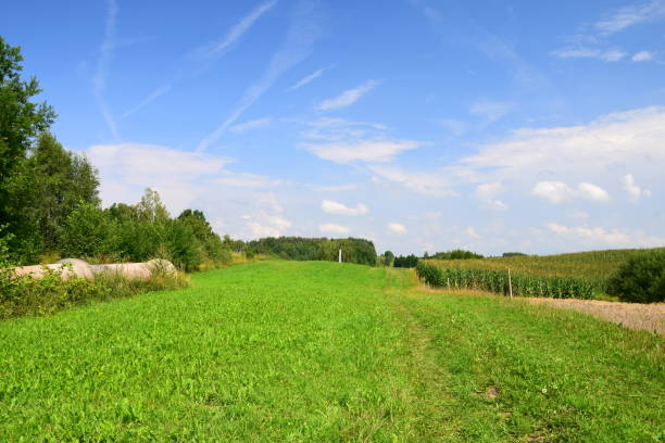 panorama di un campo o di un pascolo situato accanto a un prato con colline e aree boschive in lontananza e con un cielo estivo nuvoloso sopra la scena durante una giornata calda - poland rural scene scenics pasture foto e immagini stock