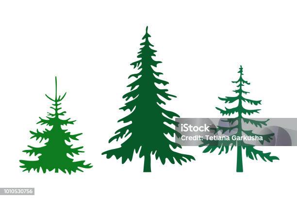 Set Of Different Fir Trees Stock Illustration - Download Image Now - Pine  Tree, Cartoon, Green Color - iStock