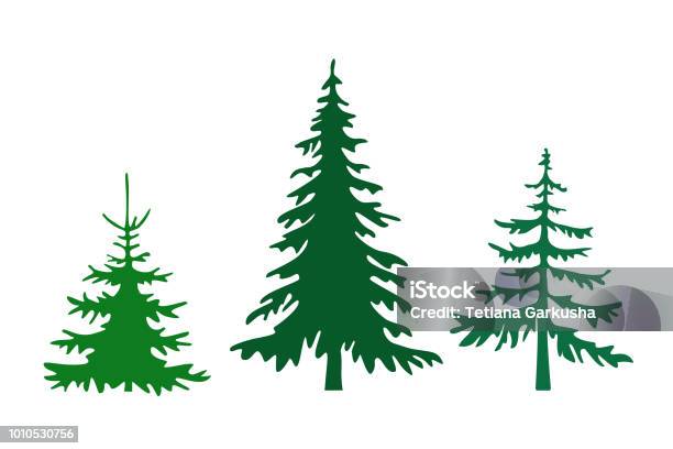 Set Of Different Fir Trees Stock Illustration - Download Image Now - Pine Tree, Cartoon, Green Color - iStock Set Of Different Fir Trees Stock Illustration - Download Image Now - Pine Tree, Cartoon, Green Color - iStock