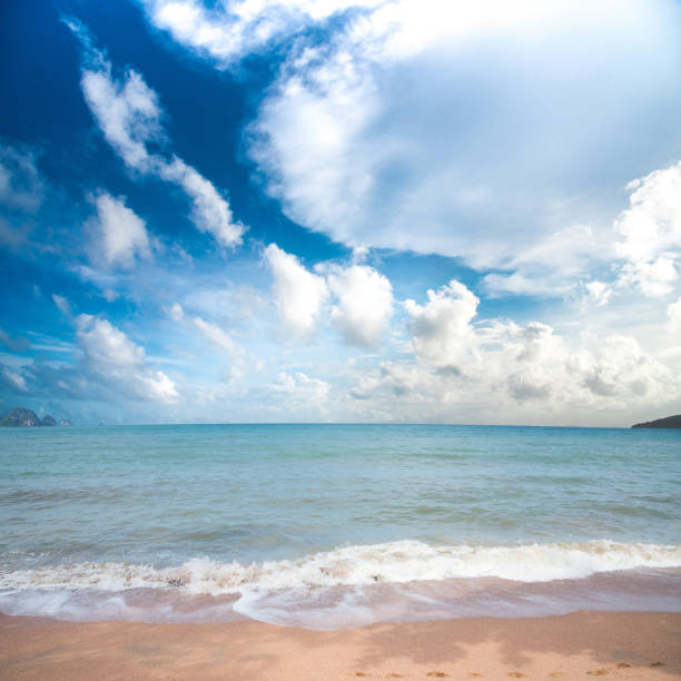 istock Beautiful sky and tropical beach 1010535698