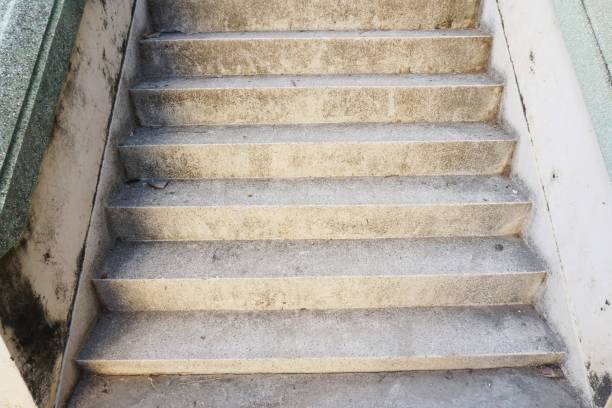 istock old cement stair in nature garden 1010538522