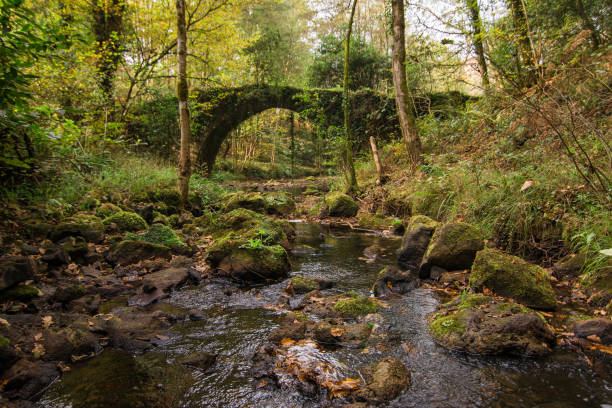 istock river crossing old roman bridge 1010543040
