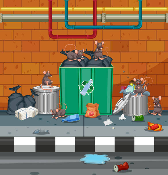 istock Group of rat in dirty street 1010543762