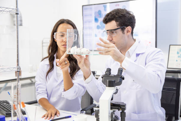 Scientist looking to rat and Talking together. Scientist researching at lab.