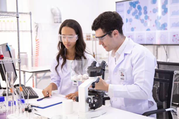 istock Scientist looking to rat and Talking together. Scientist researching at lab. 1010555764
