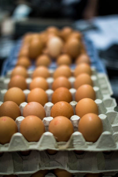 istock Large collection of fresh eggs in a row in egg boxes 1010556378