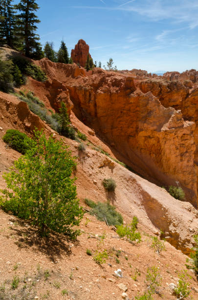 istock landscape on the bryce canyon 1010560326