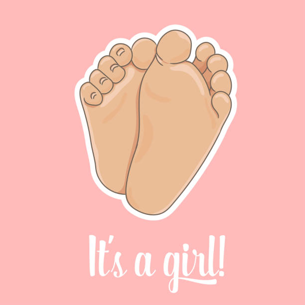 웹 - baby toe stock illustrations