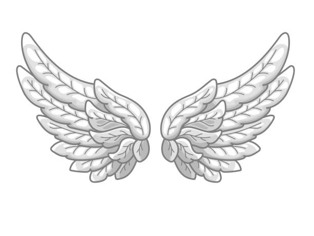 istock A pair of angel wings with grey and white feathers, wide spread. Contour drawing in modern line style with volume. Vector illustration 1010568990