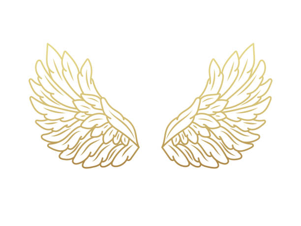istock A pair of angel wings, wide open with golden metallic effect. Contour drawing in modern flat line style. Vector illustration 1010569140
