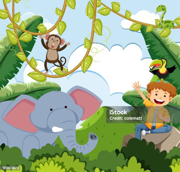 Boy And Animals In Jungle Stock Illustration - Download Image Now -  Rainforest, Animal, Clip Art - iStock