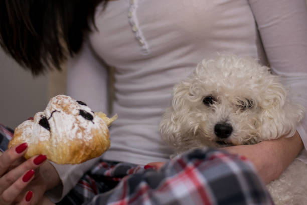 istock Girl and her dog in bed 1010593386