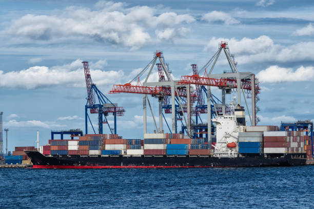 istock Container ship near the port 1010597878