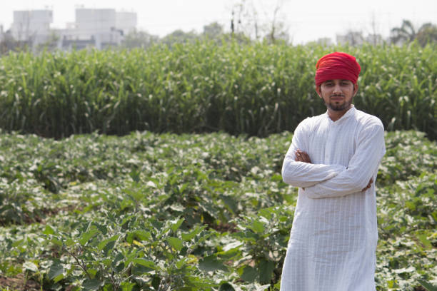 istock Farmer with arms crossed in field 1010598416