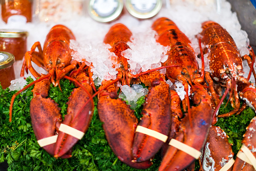 Close up color image depicting fresh raw lobsters on ice on a fishmonger's stall at a food market in London, UK. The lobsters are on ice and a bed of fresh green parsley. Room for copy space.