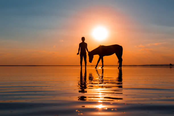 Tauranga, New Zealand – October 26, 2025: Two horses stand under trees by turquoise-blue water.