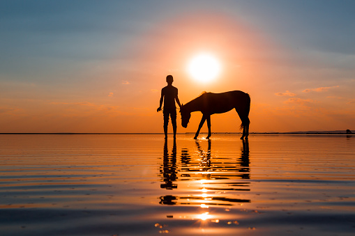 young man and horse silhouette