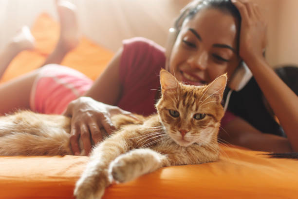 ผู้หญิงมีความสุขที่บ้านฟังเพลงและกอดแมวของเธอ - แมวส้ม ภาพสต็อก ภาพถ่ายและรูปภาพปลอดค่าลิขสิทธิ์