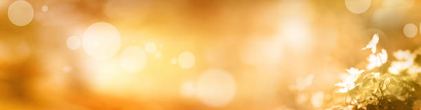 istock Golden abstract autumn background 1010610714