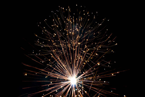 istock Colorful fireworks on the black sky background 1010610818