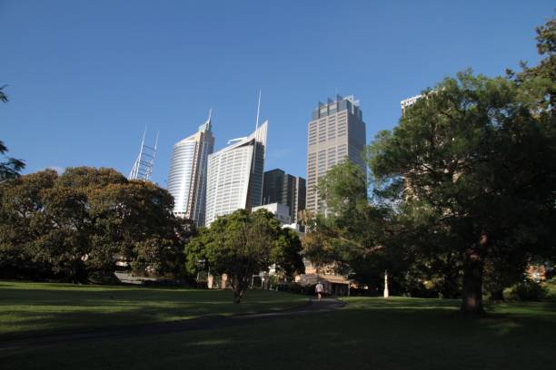 istock Royal botanic garden, Sydney, Australia 1010613322