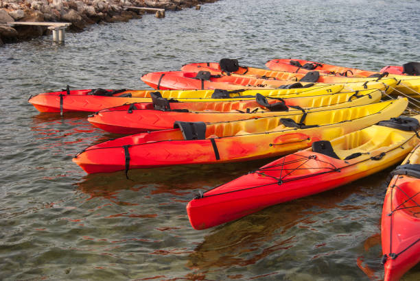 istock Nine kayaks close to each other on the sand 1010614308