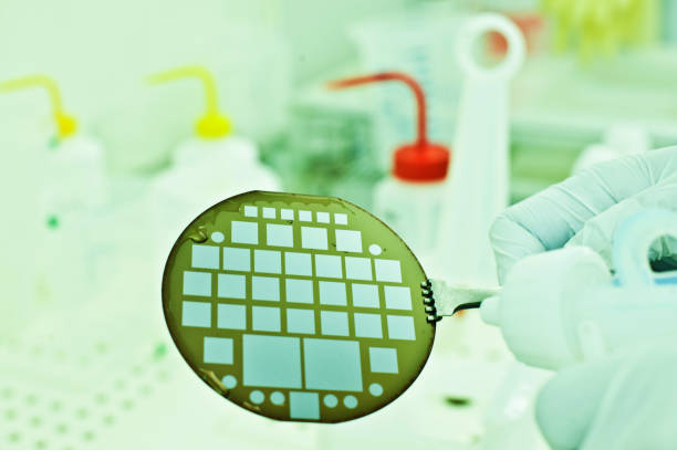 Scientist Fabricating Sensors On Semiconductor Wafer stock photo