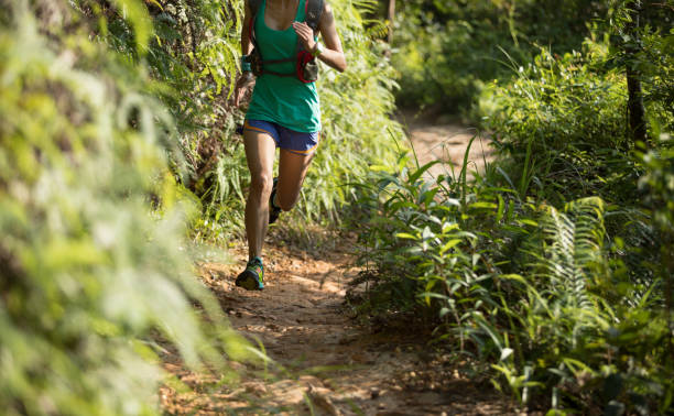 istock Woman trail runner running on sunny forest trail 1010615302