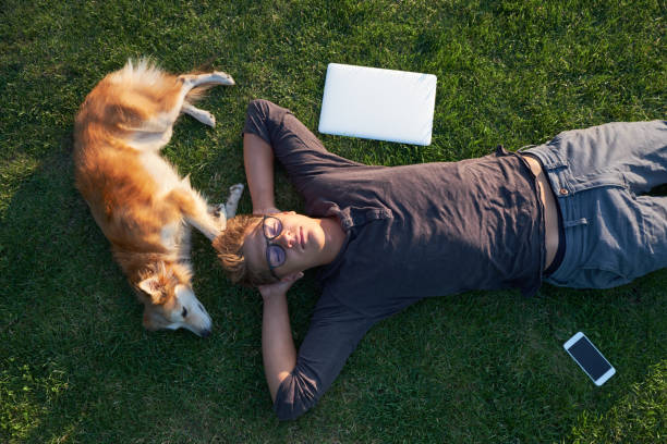Boy lay with his dog on the grass stock photo