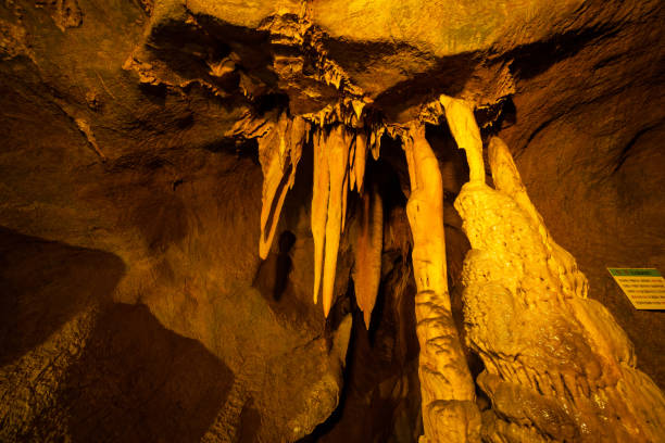 istock Gosu Cave of Danyang 1010619296