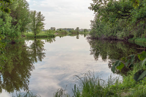 istock A small forest lake. The old quiet pond 1010624762
