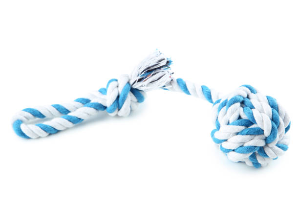 istock Pet toy isolated on white background 1010625016