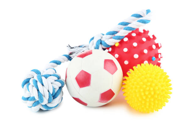 istock Pet toys isolated on white background 1010630274