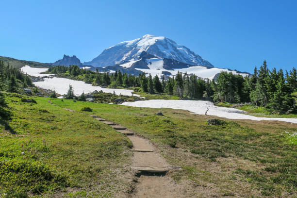 istock Mount Rainier seen from Spray Park Trail Mount Rainier National Park 1010637616