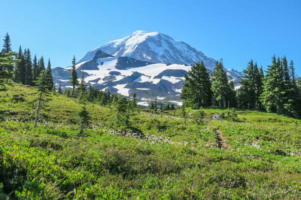 istock Mount Rainier seen from Spray Park Trail Mount Rainier National Park 1010637930