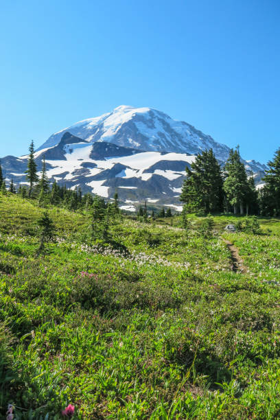 istock Mount Rainier seen from Spray Park Trail Mount Rainier National Park 1010637934