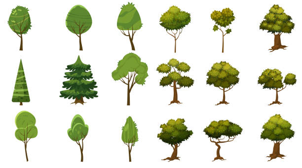 istock Set of trees of various kinds, cartoon style and stylized, for erg and applications, vector, illustration, isolated 1010641314
