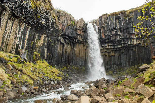 istock Great view of Svartifoss waterfall 1010641470