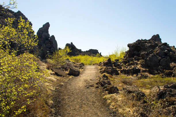 dimmuborgir, island. karge vulkanlandschaft der bizarre dimmuborgir lava-formation in der nähe von see myvatn, island. großen bereich der ungewöhnlich geformte lavafelder östlich mývatn in island. felsformation. - tea island stock-fotos und bilder