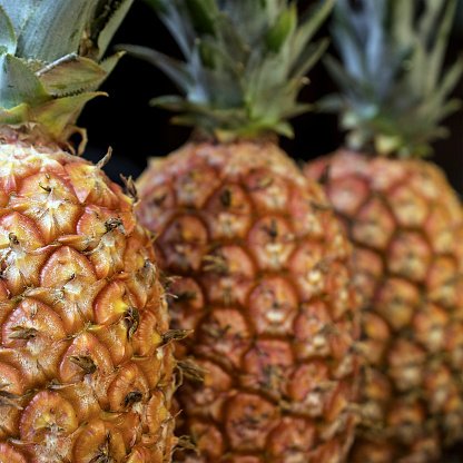 Close-up on three pineapples in a row with copyspace on dark background
