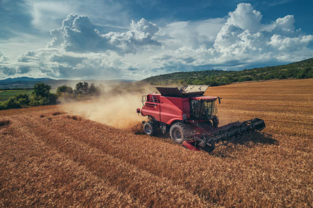 istock Aerial view on the combine working on the large wheat field 1010651696