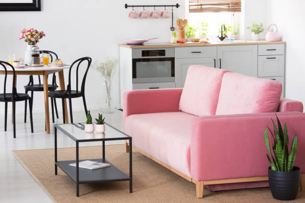 istock Plant next to pink sofa in apartment interior with chairs at dining table near kitchenette. Real photo 1010655850