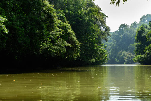 istock Green Canyon, Pangandaran, Indonesia 1010665720