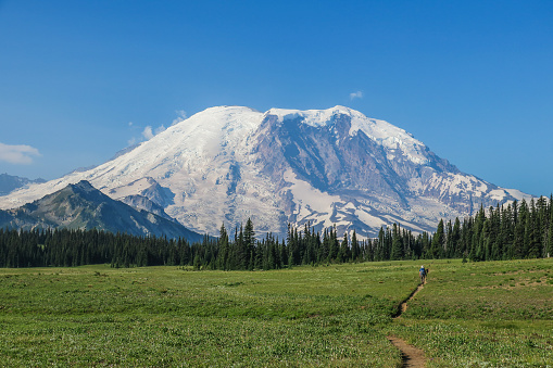 Man hiker walking on the Grand Park Trail, with Mount Rainier in the background (Mt Rainier National Park)